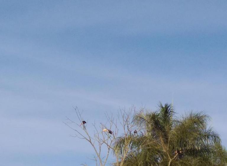 Albergue Pousada Serra Da Canastra