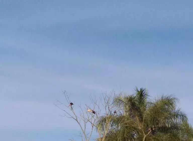 ユースホステル Pousada Serra Da Canastra