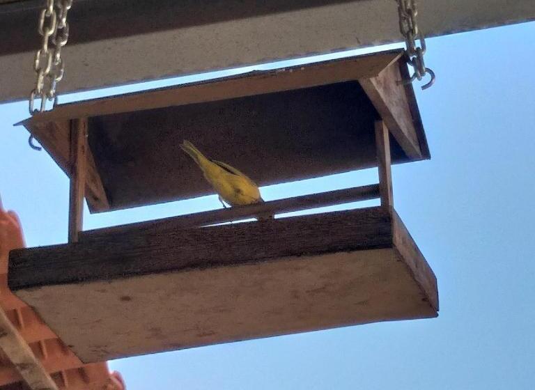 Albergue Pousada Serra Da Canastra