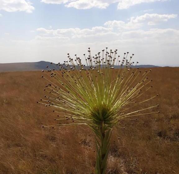 Albergue Pousada Serra Da Canastra