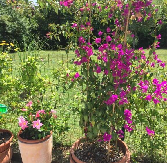 B&b La Villa Mediterranea