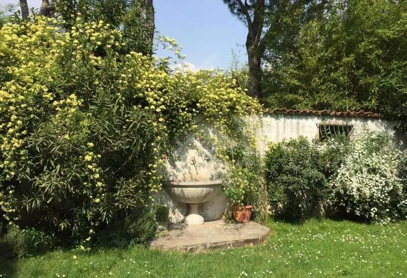 B&b La Villa Mediterranea