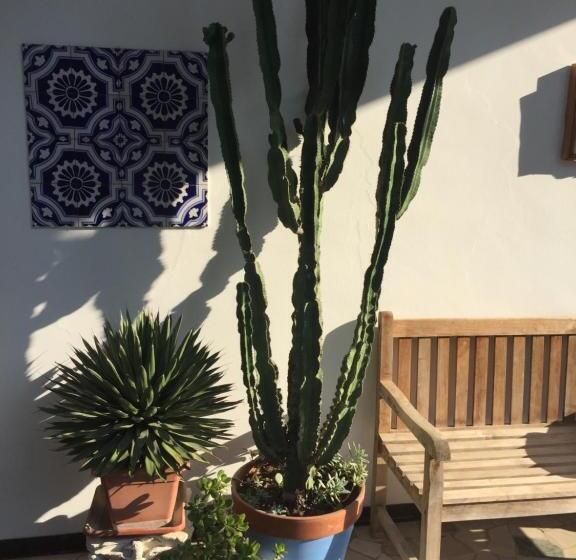 B&b La Villa Mediterranea