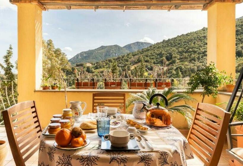 B&b Su Biancu Sardinian Experience