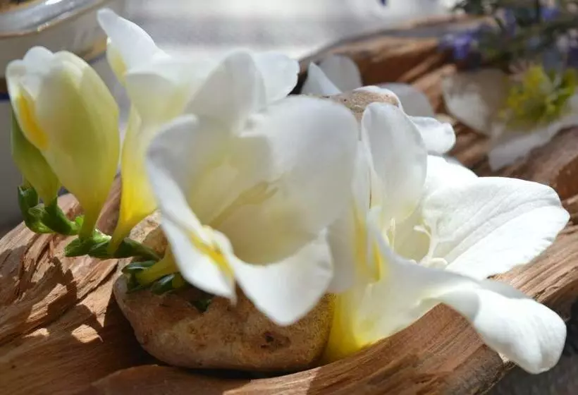 B&b Su Biancu   Sardinian Experience