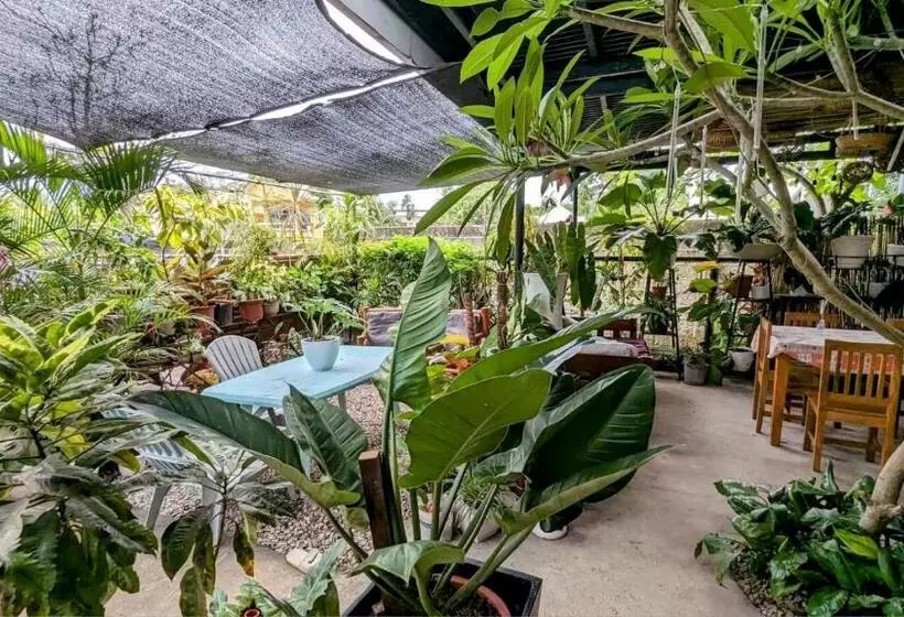 ベッドアンドブレックファースト Unk S House Homestay