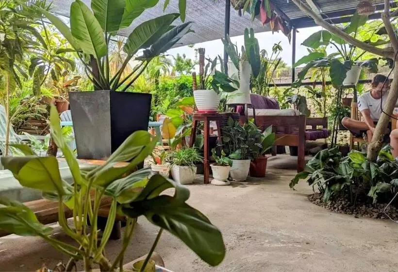 ベッドアンドブレックファースト Unk S House Homestay