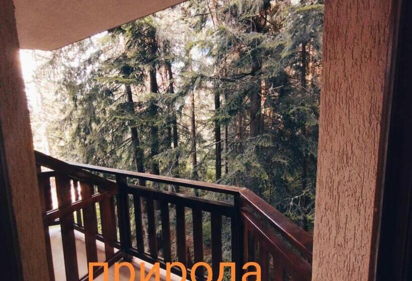 Enjoy Studios And Lovely Apartment Villa Park