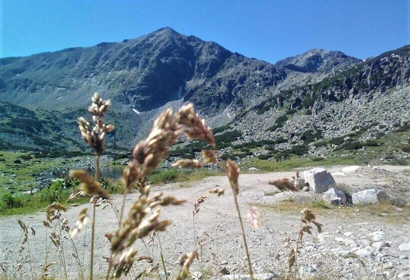 Enjoy Studios And Lovely Apartment Villa Park