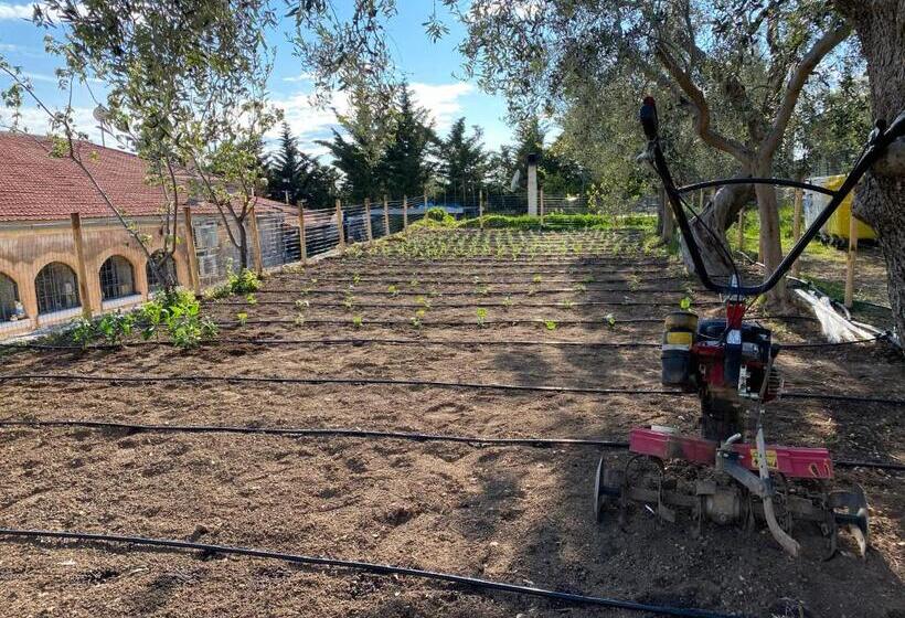 בית מלון כפרי Signor Cesare Agrobistrot B&b