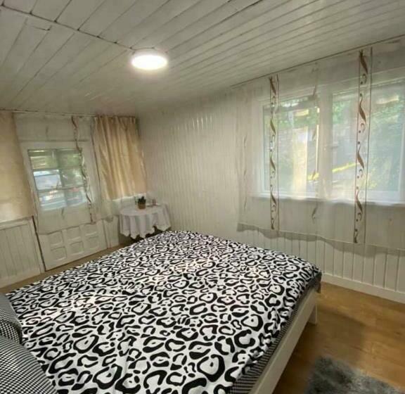 膳宿费 Casa Parvu