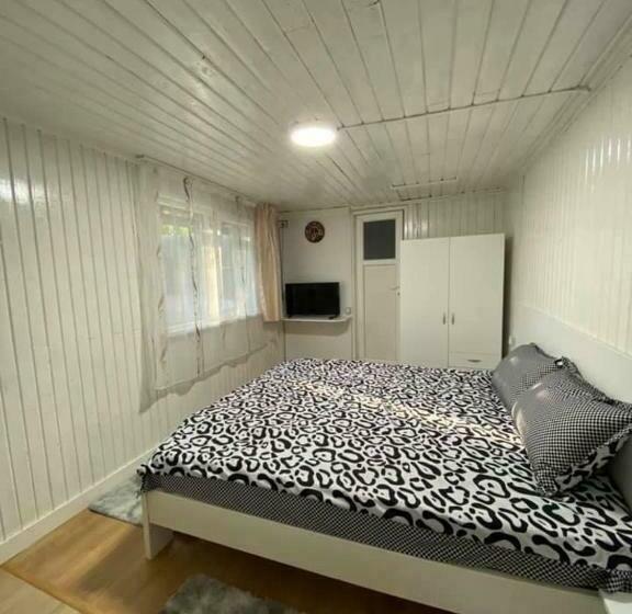 膳宿费 Casa Parvu