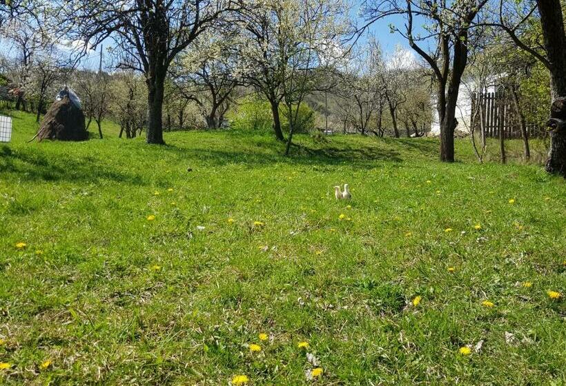 膳宿费 Casa Parvu