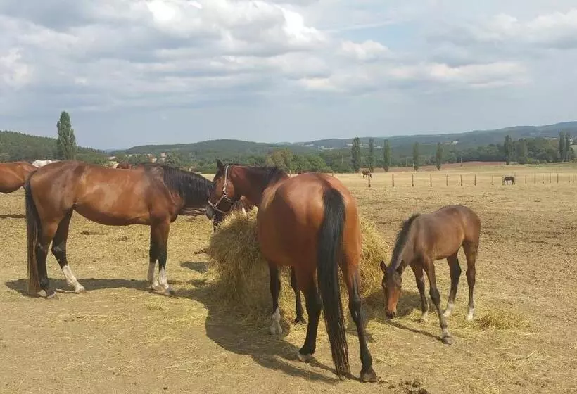 Majatalo Penzion U švarců