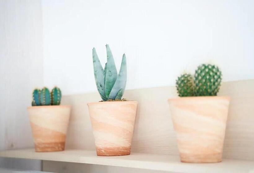 Petit Nid Douillet De Gruissan à 200m De La Plage