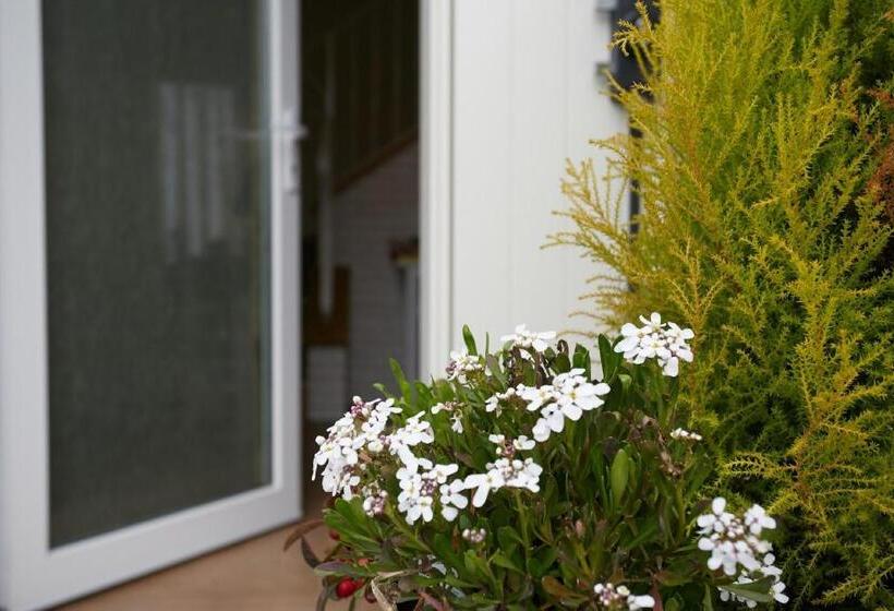 B&b Al Sogno Di Laura