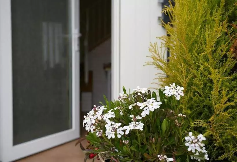 B&b Al Sogno Di Laura