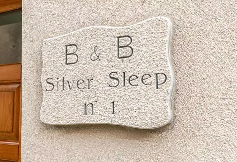 B&b Silver Sleep