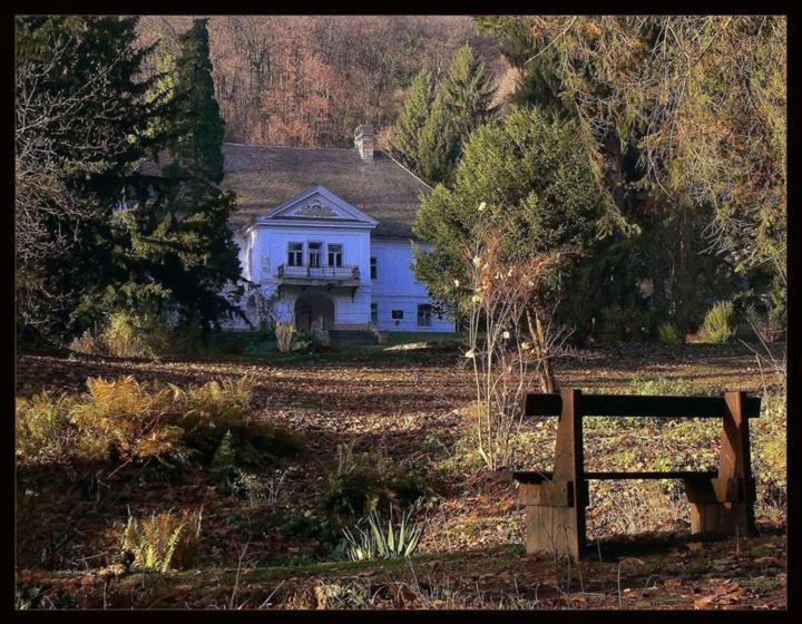 مبيت وإفطار Cseppkő Panzió