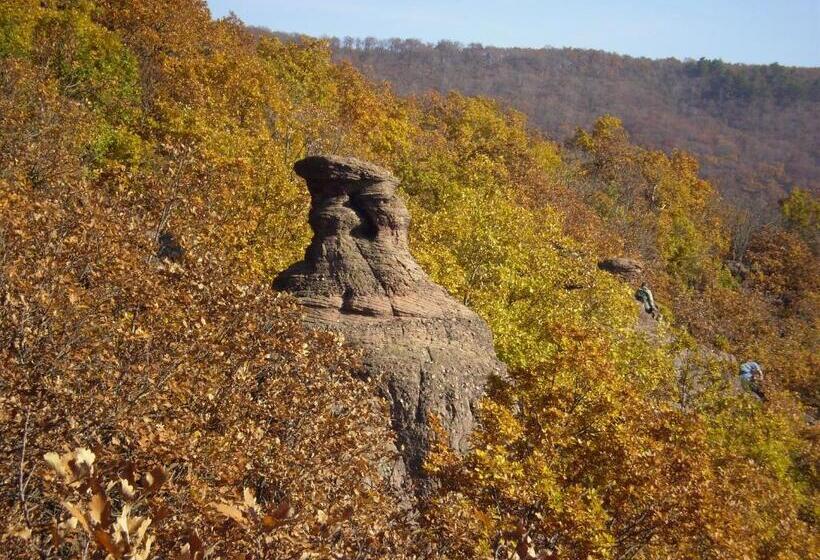 مبيت وإفطار Cseppkő Panzió