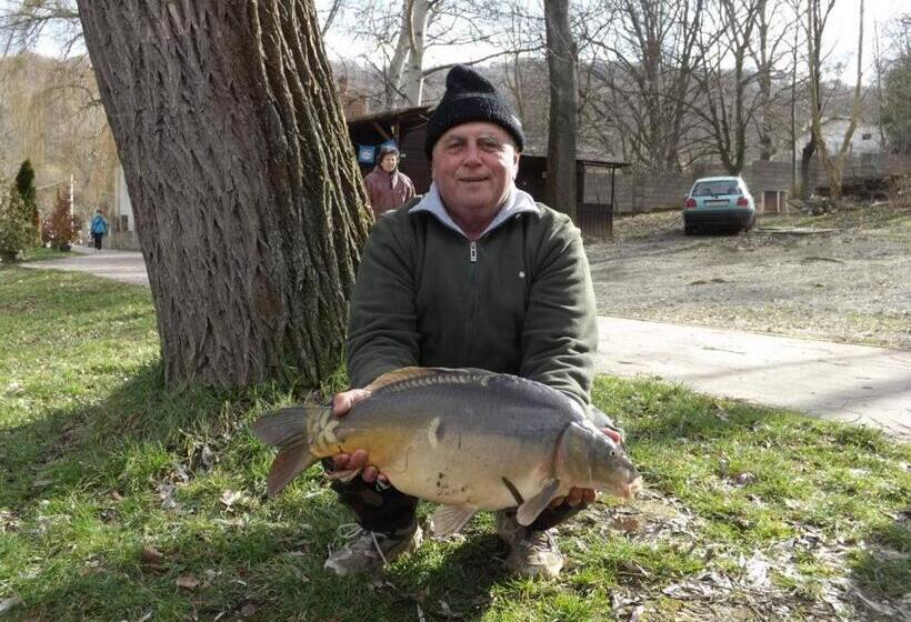 مبيت وإفطار Cseppkő Panzió