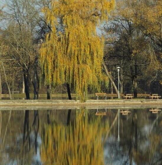 مبيت وإفطار Cseppkő Panzió