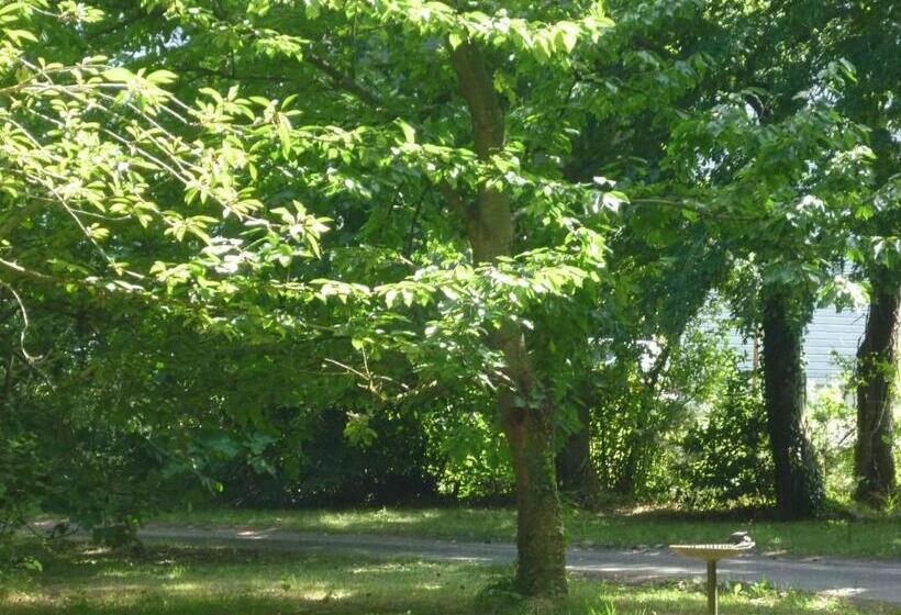 تختخواب و صبحانه Domaine De La Bastille