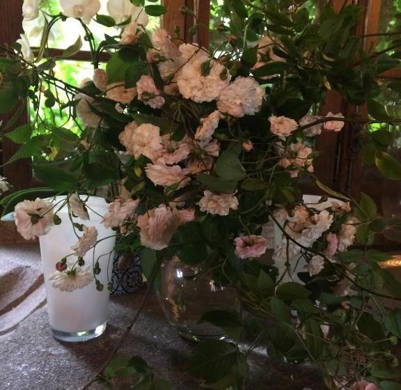 تختخواب و صبحانه Domaine De La Bastille