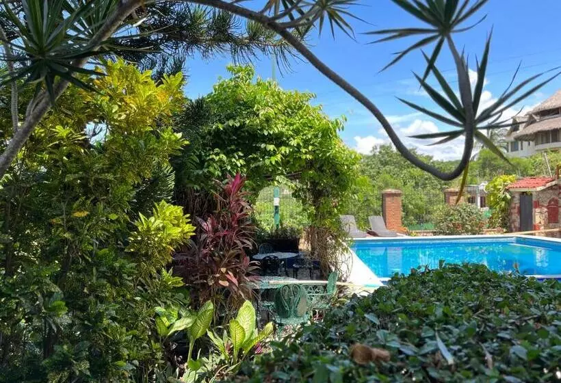 هتل Casa Terranova