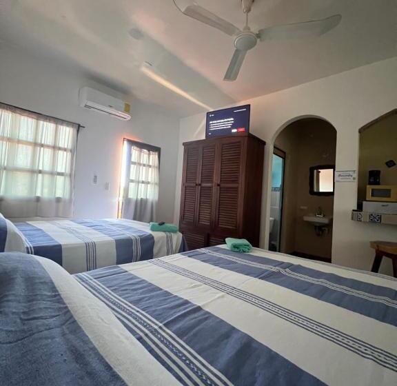 هتل Casa Terranova