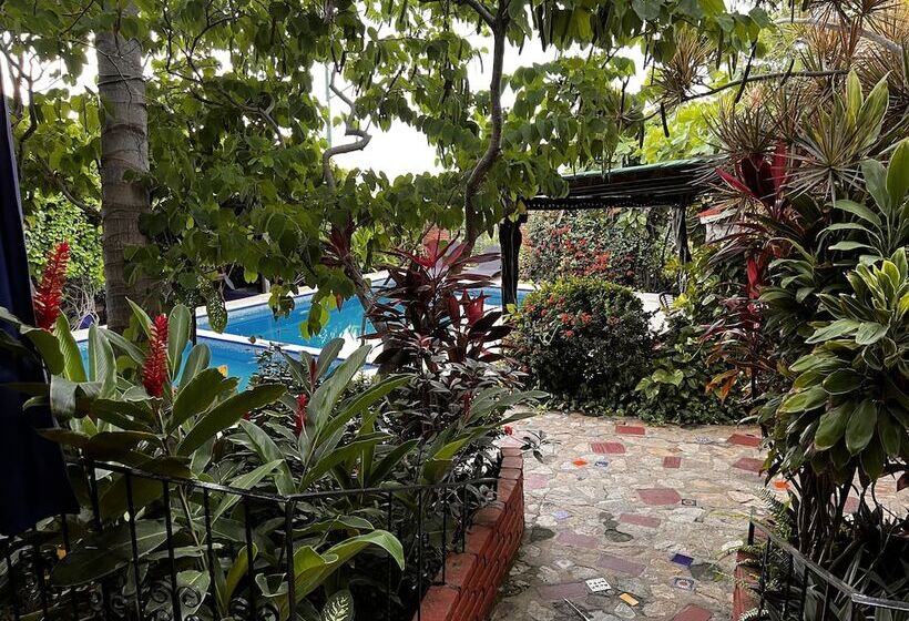 هتل Casa Terranova