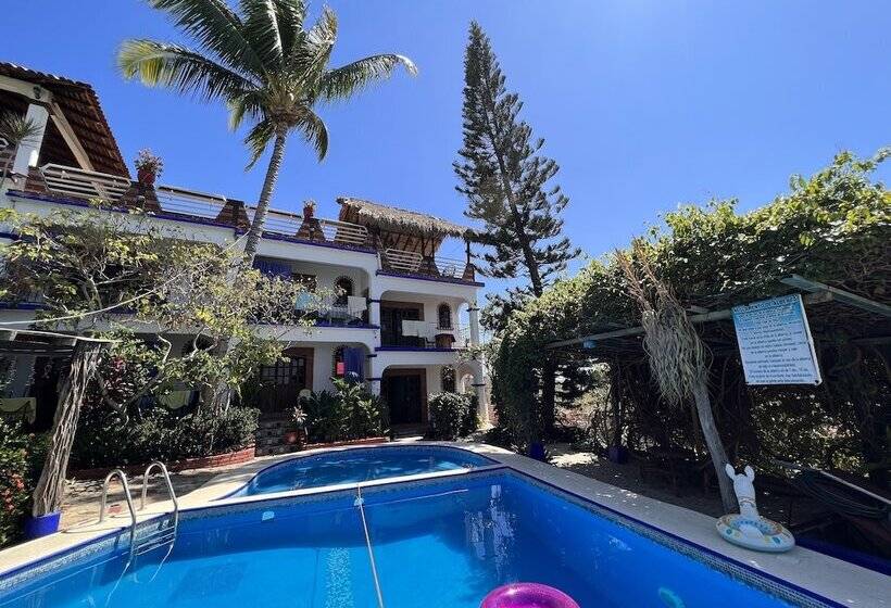 هتل Casa Terranova