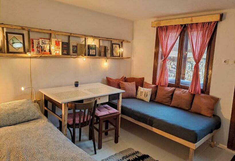 پانسیون Casa Petri Rosia Montana