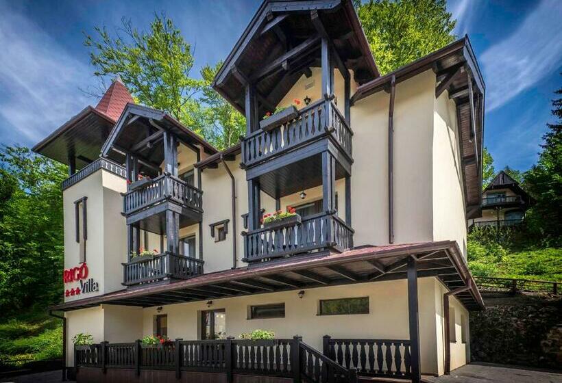 פנסיון Vila Rigo Sovata