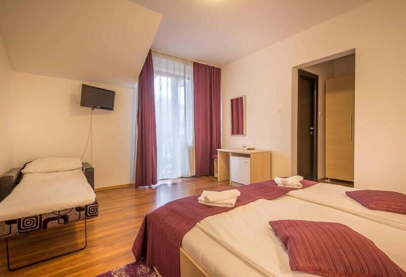 פנסיון Vila Rigo Sovata