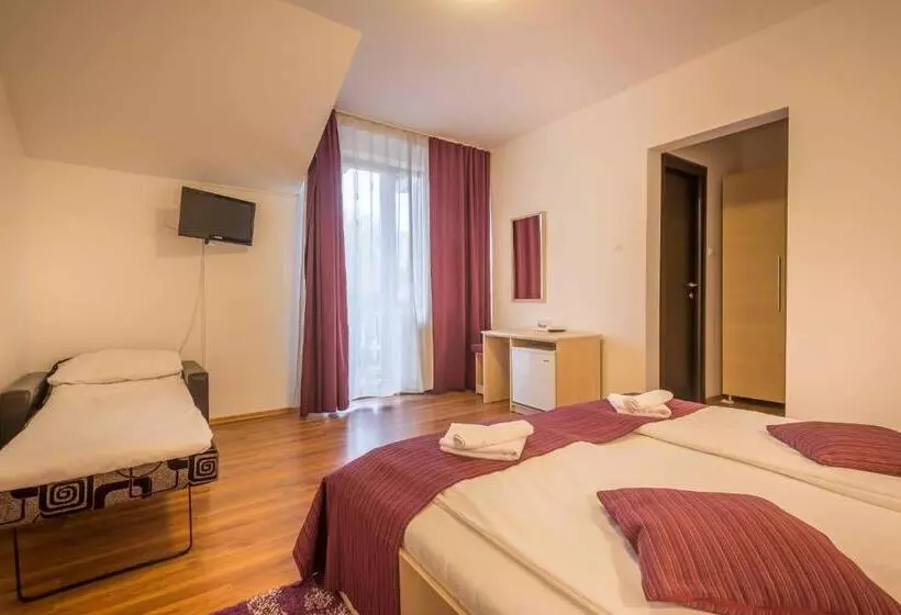 Panzió Vila Rigo Sovata