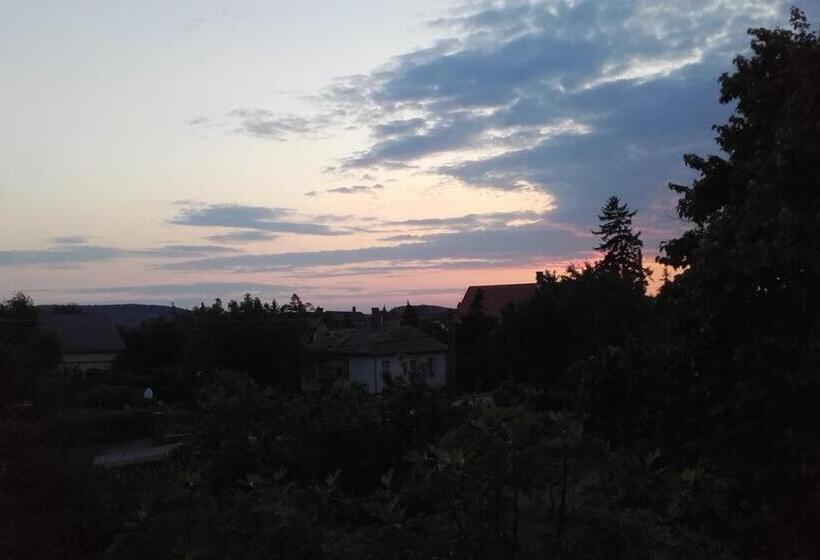 Pensjonat Villa Magdi Vendégház