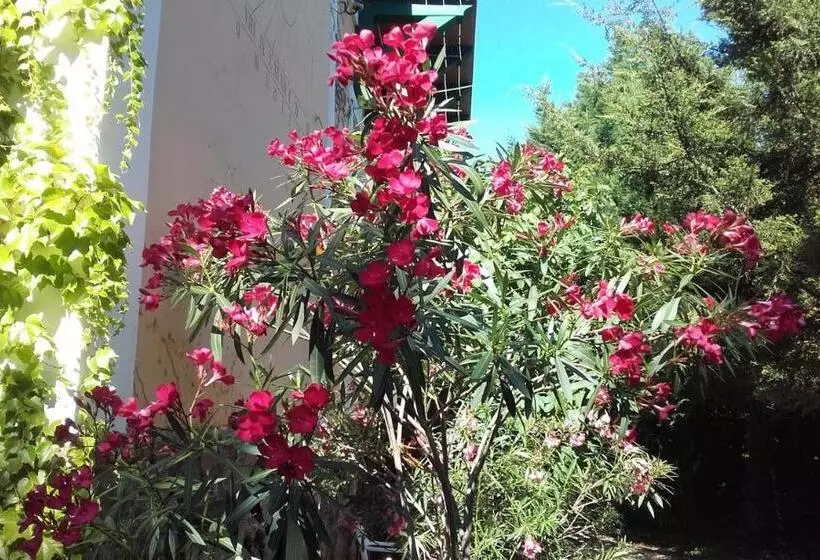 ペンション Villa Magdi Vendégház