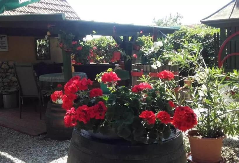 ペンション Villa Magdi Vendégház