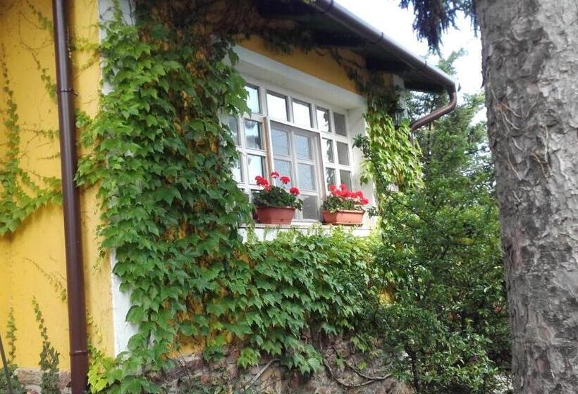 Pensjonat Villa Magdi Vendégház