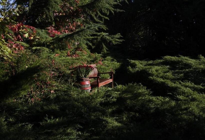 Pensjonat Villa Magdi Vendégház