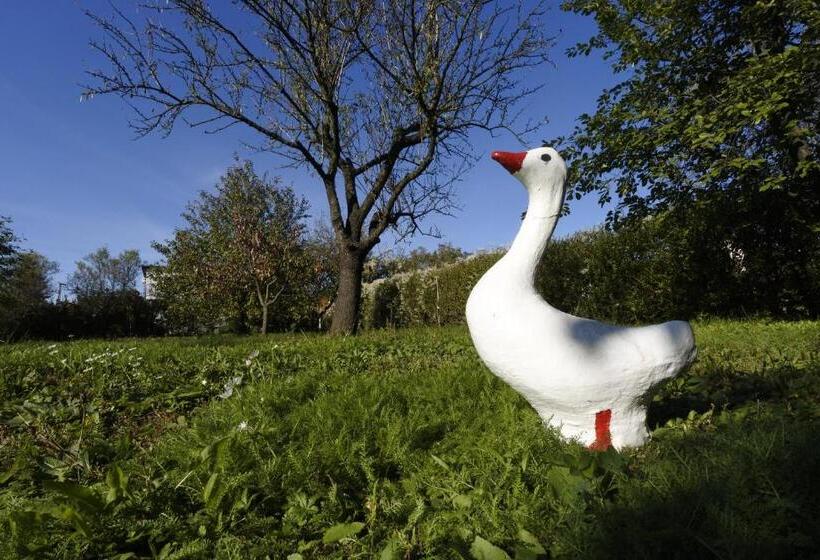 Pensjonat Villa Magdi Vendégház