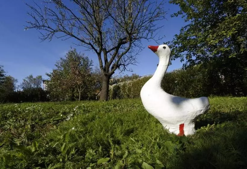 ペンション Villa Magdi Vendégház