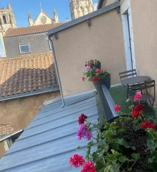 • Bel Appartement   Centre Historique De Poitiers