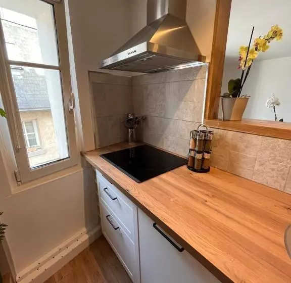 • Bel Appartement   Centre Historique De Poitiers