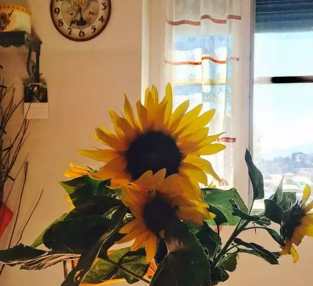 B&b Il Filo Di Arianna