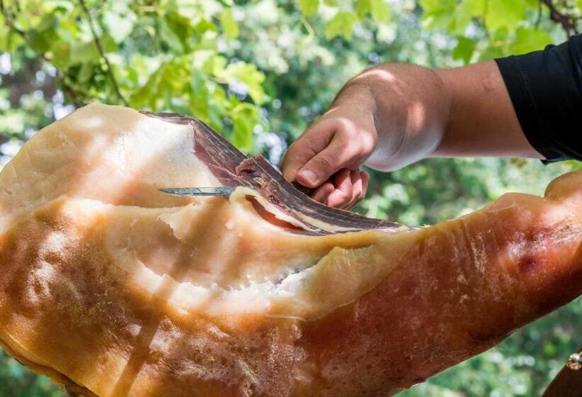 住宿加早餐  Ferme U San Martinu