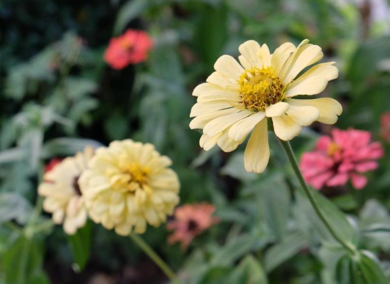 Boathouse Resort Suanphung