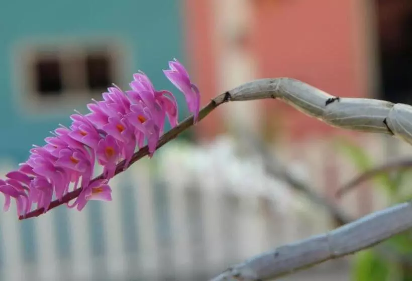 Boathouse Resort Suanphung