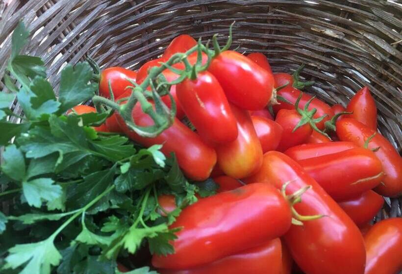 בית מלון כפרי Agriturismo La Casa Delle Fate